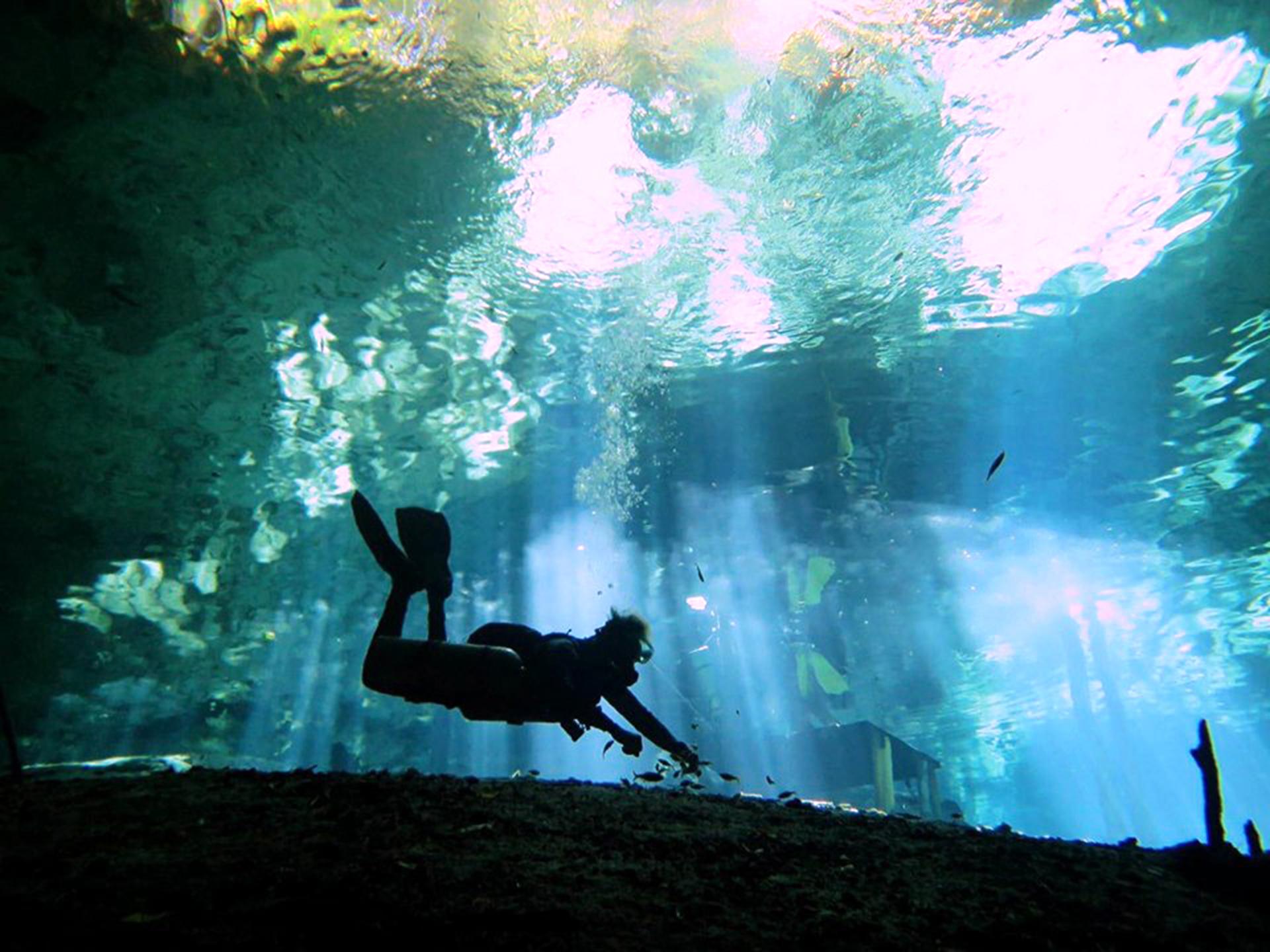 Cenote diving