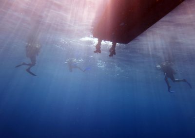 © Nina Moysi Photography pura-vida-diving-playa-del-carmen-riviera-maya-cozumel-mexico-buceo-mejor-padi049