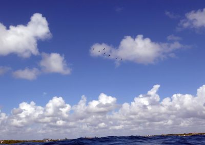 © Nina Moysi Photography pura-vida-diving-playa-del-carmen-riviera-maya-cozumel-mexico-buceo-mejor-padi050