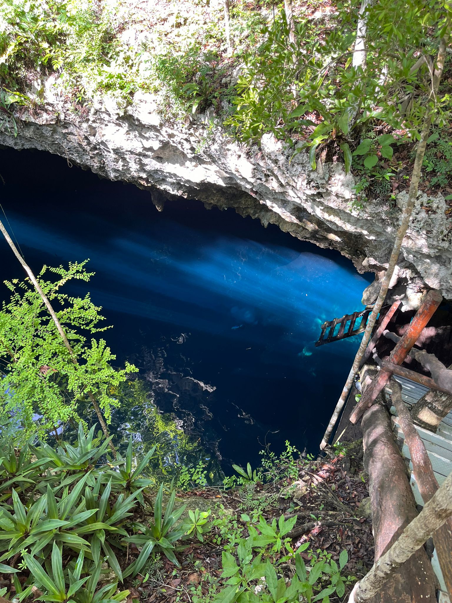 Cenote diving