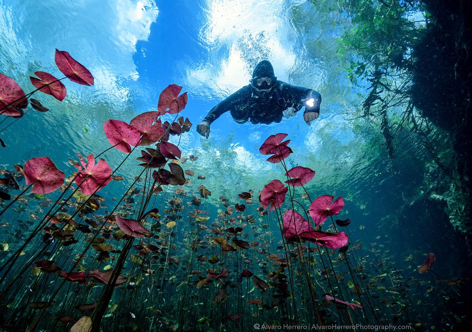 SSI Sidemount specialty course in Playa del Carmen