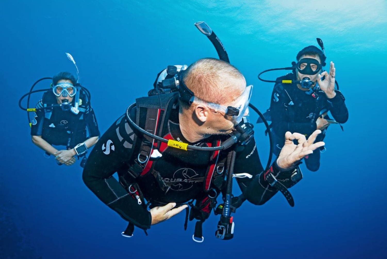 Curso de Divemaster en Playa del Carmen