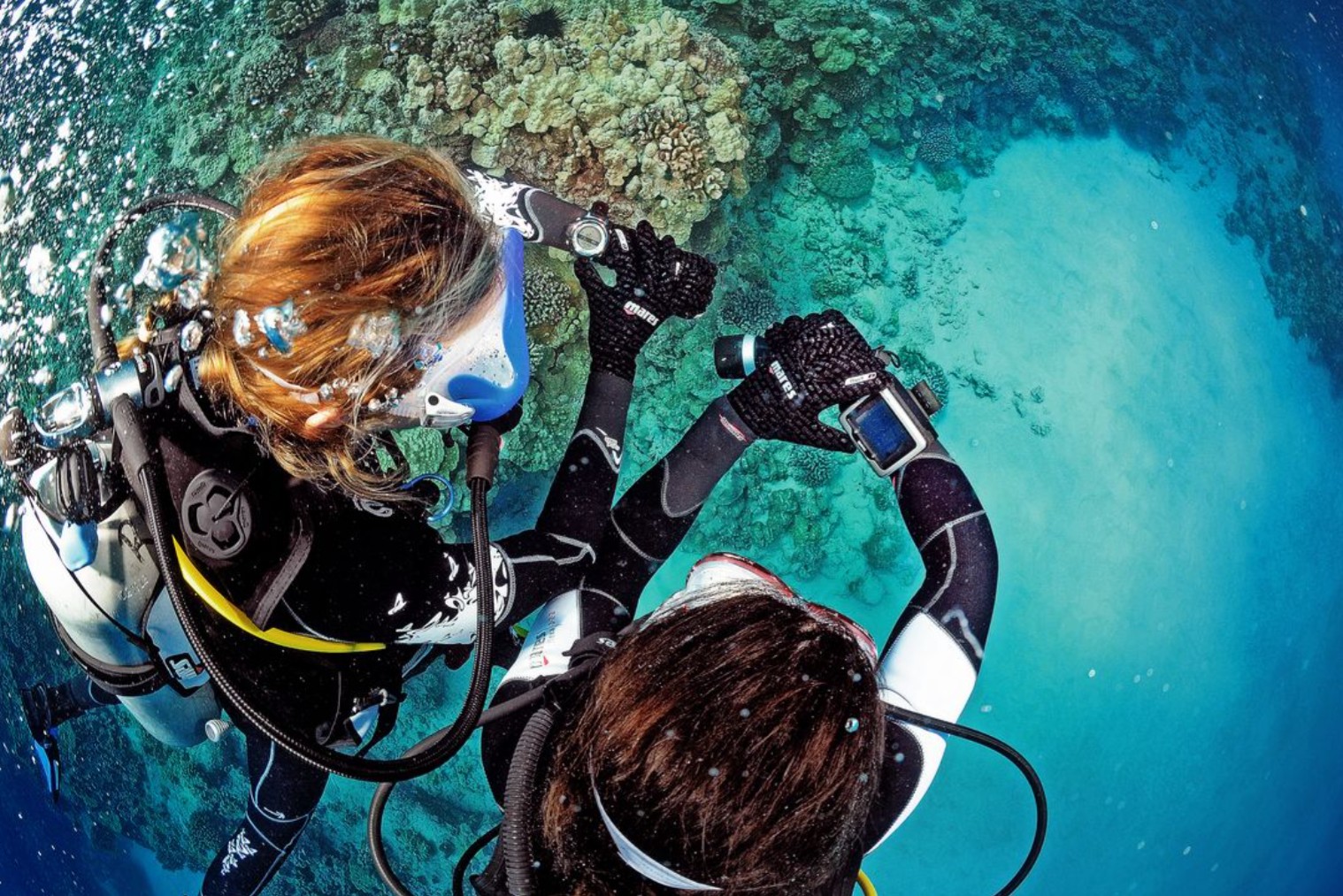 Curso de Divemaster en Playa del Carmen
