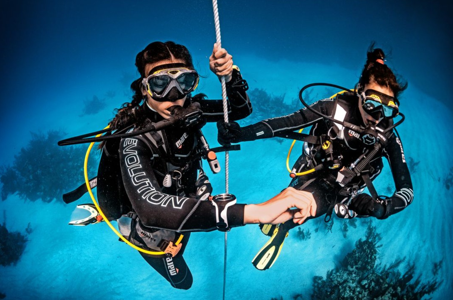 Curso de Divemaster en Playa del Carmen